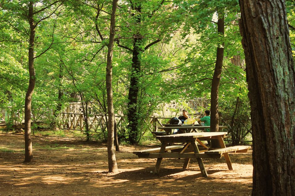 Bartlesville Oklahoma park trail