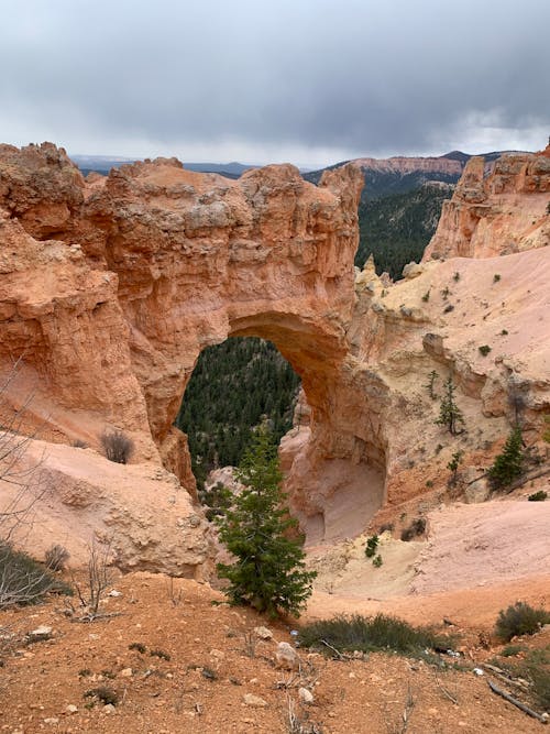Free Scenic Landscape with a Natural Bridge Rock Formation, Bryce Canyon, USA Stock Photo