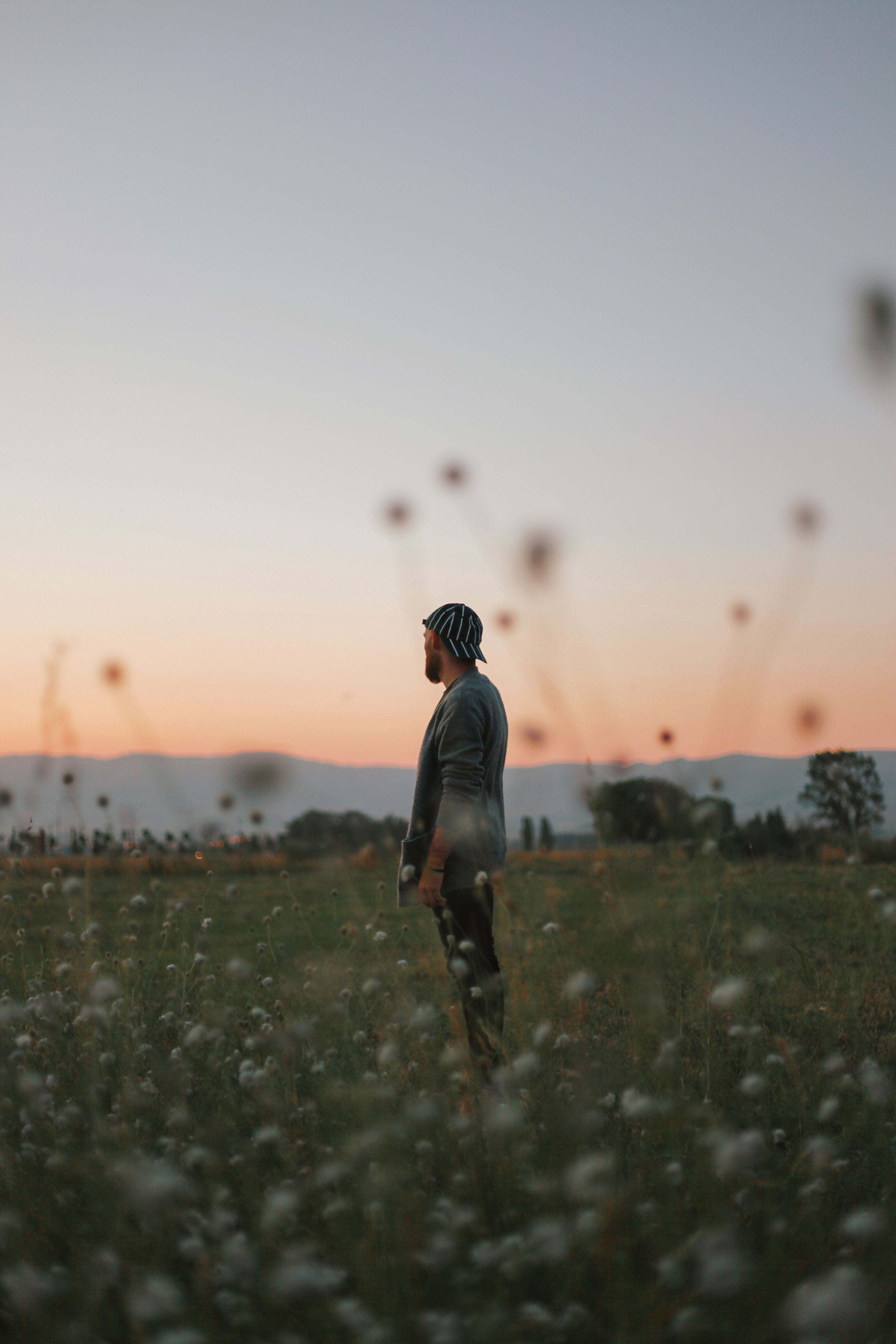 A Man Standing in a Field · Free Stock Photo