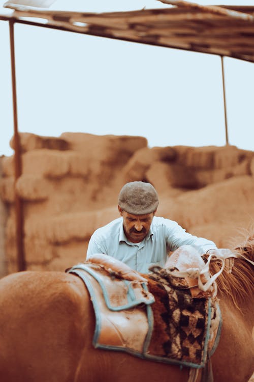 Photo of an Elderly Man with a Horse