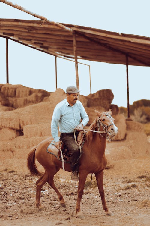 Photo of a Man Riding a Horse on a Farm