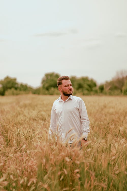 Photo of a Man in a Shirt Standing in a Wheat Field