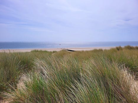 Peaceful coastal landscape with dunes and calm seaside horizon, perfect for relaxation and nature lovers.
