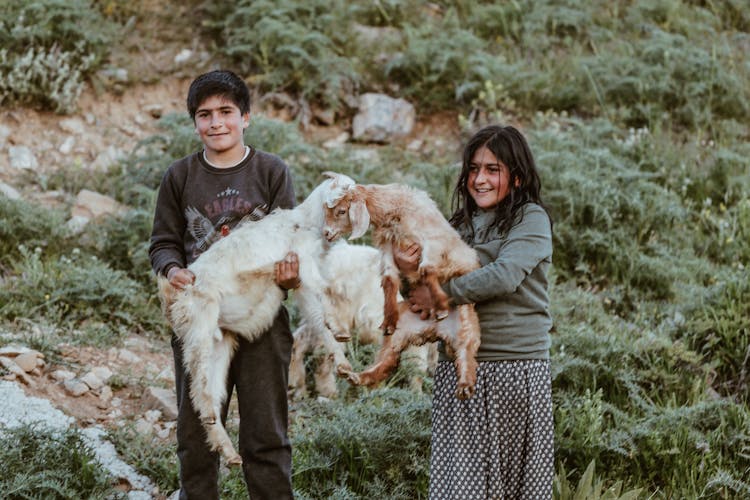 A Boy And A Girl Holding Goats 