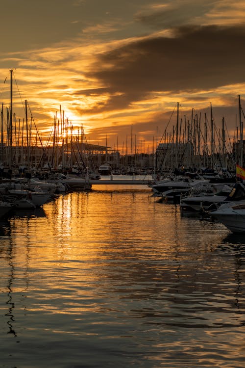 Yachts Moored in Marina at Sunset