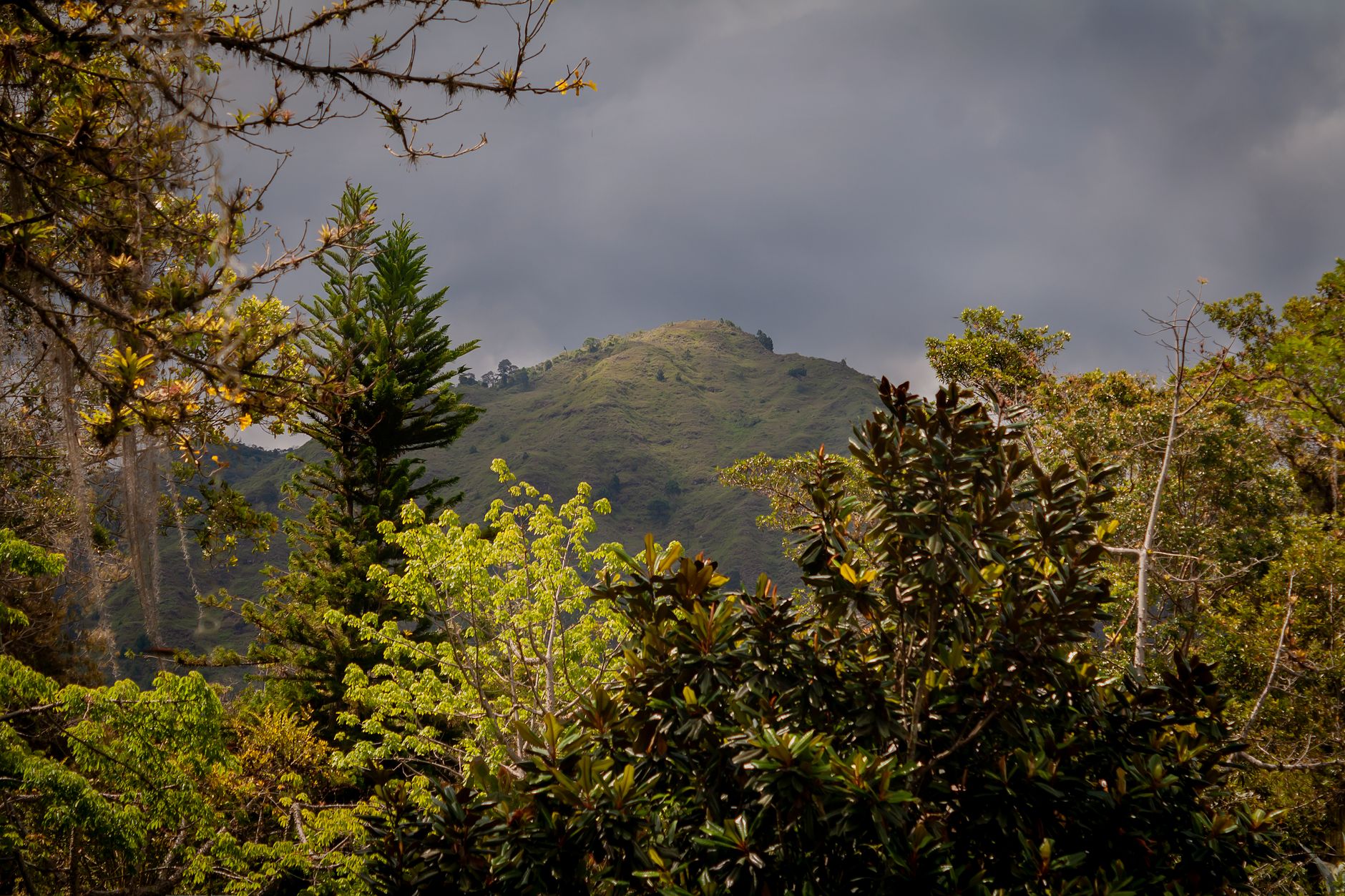 Explore the lush green hills of Mérida, Venezuela under dramatic storm clouds. A vibrant natural landscape.