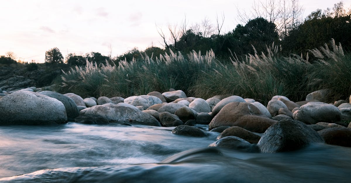 Flowing Calm River · Free Stock Photo