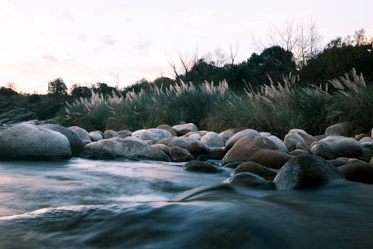 Flowing Calm River