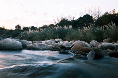 Free Tranquil scene of a river flowing past rocks and tall grass, perfect for nature enthusiasts. Stock Photo