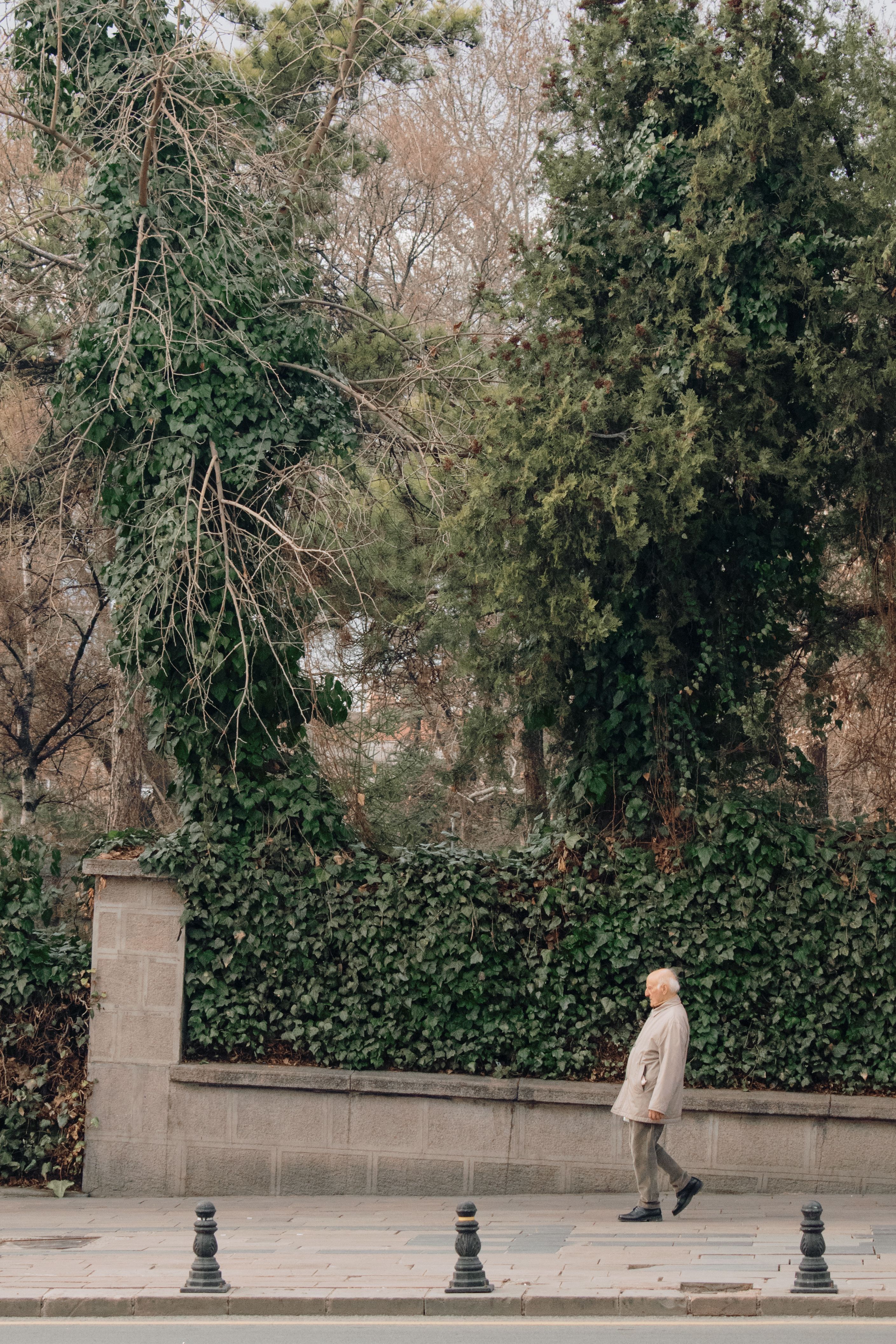 A five-minute version of everyday movement