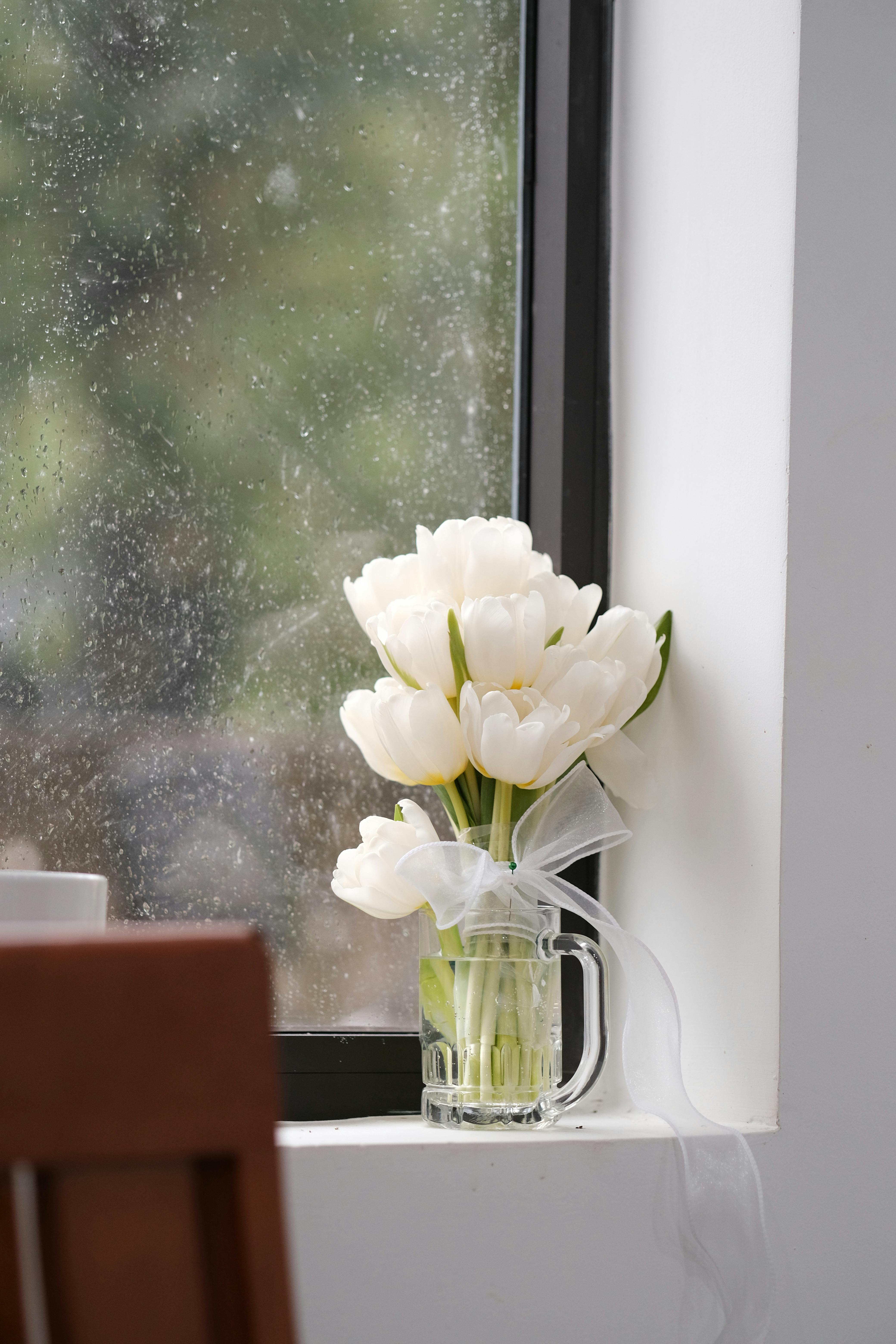 Elegant white tulips in a glass vase on a windowsill with raindrops, evoking spring serenity.