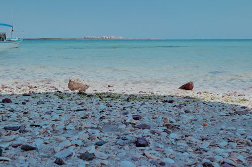 Free Peaceful seaside view with shells, pebbles, and turquoise waters under a clear sky. Stock Photo