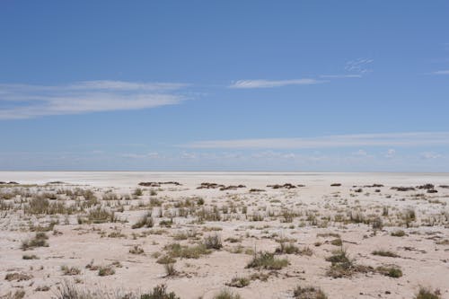 Sunlit, Barren Desert