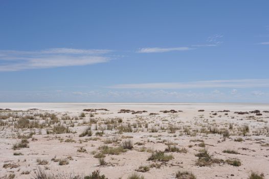 Makgadikgadi salt pans full moon — Botswana