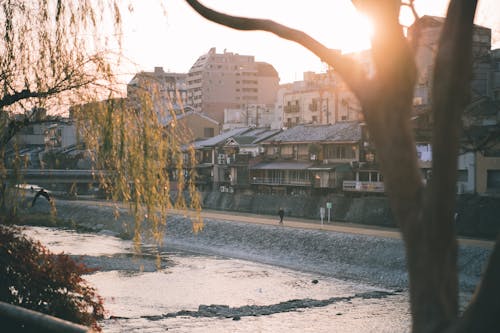 Imagine de stoc gratuită din aleargă, apă, apă curgătoare