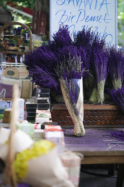 Foto profissional grátis de buquê, cachos, estábulo