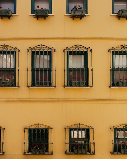 Bars and Flowers in Windows in Building