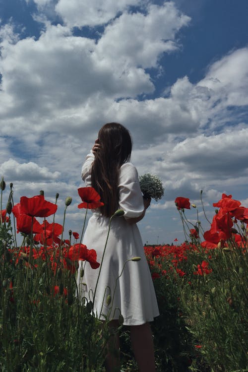 açık hava, alan, Beyaz elbise içeren Ücretsiz stok fotoğraf