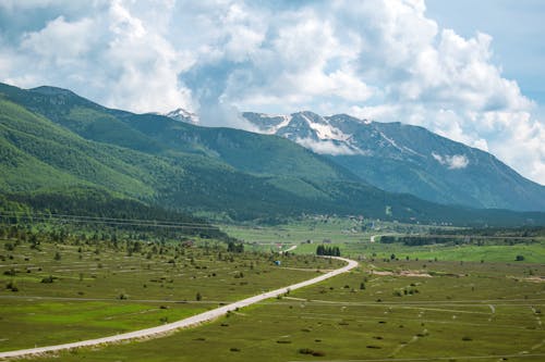 Mountains in Summer