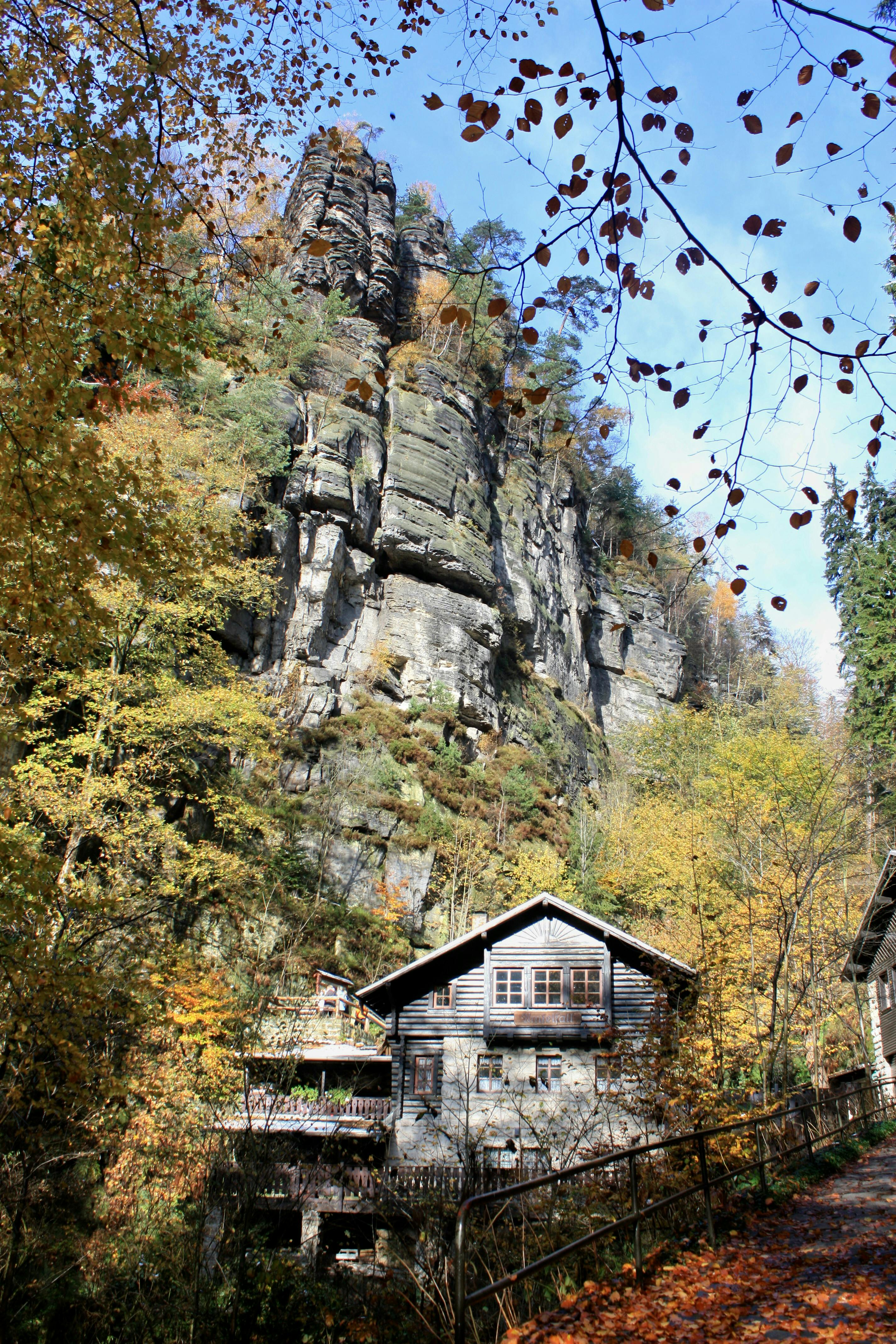 Excited crowd at a stadium cheering under bright lights