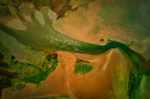 Drone shot of a kayaker navigating the vibrant estuary waters near Exmouth, UK.