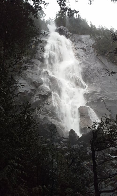 Fotografi Alam Terjun Dekat Hutan