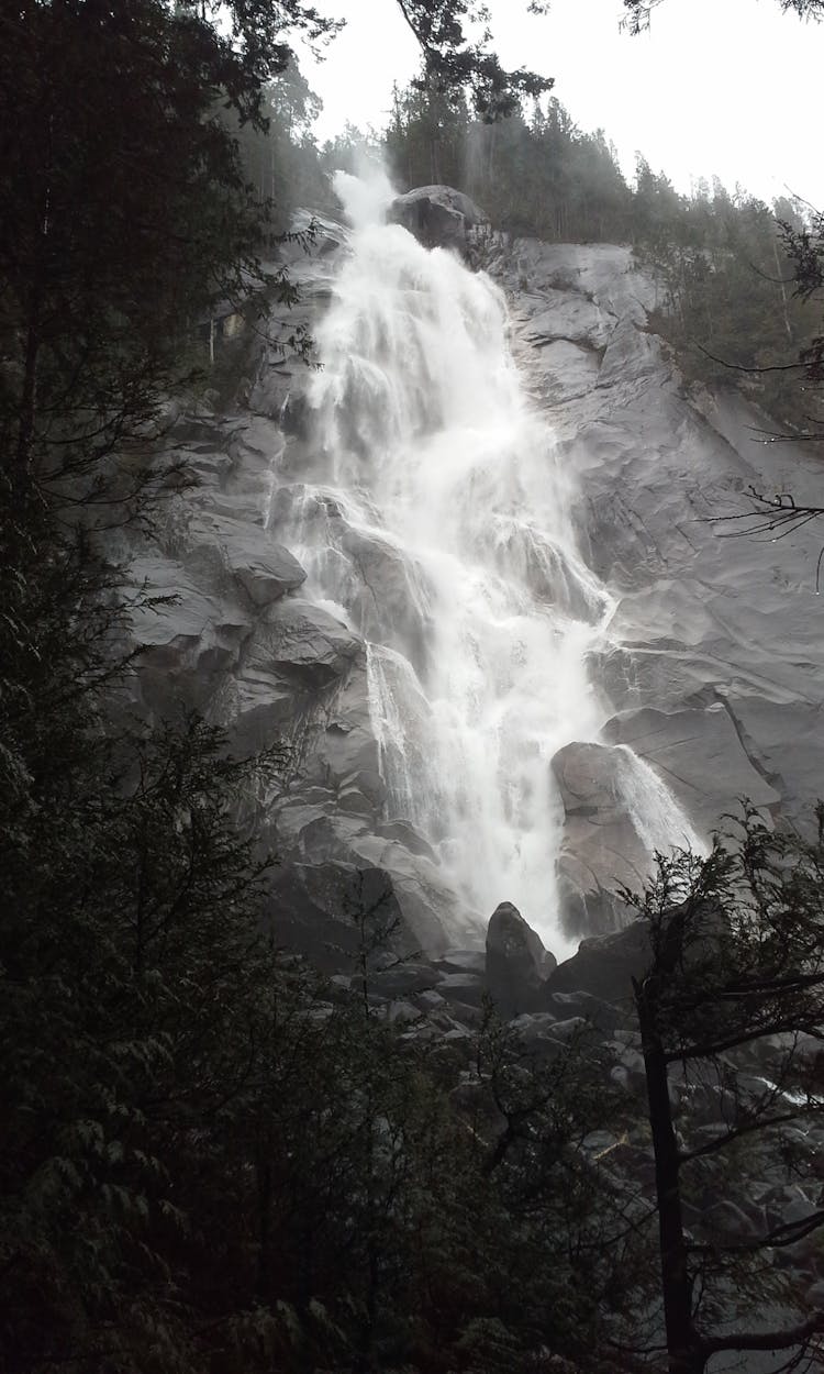 Photography Of Nature Falls Near Forest