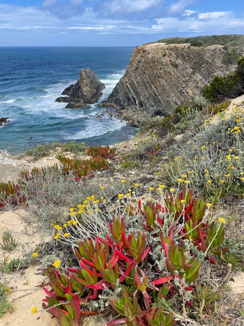 View of the Carvalhal Beach on the Atlantic Coast, Alentejo, Portugal