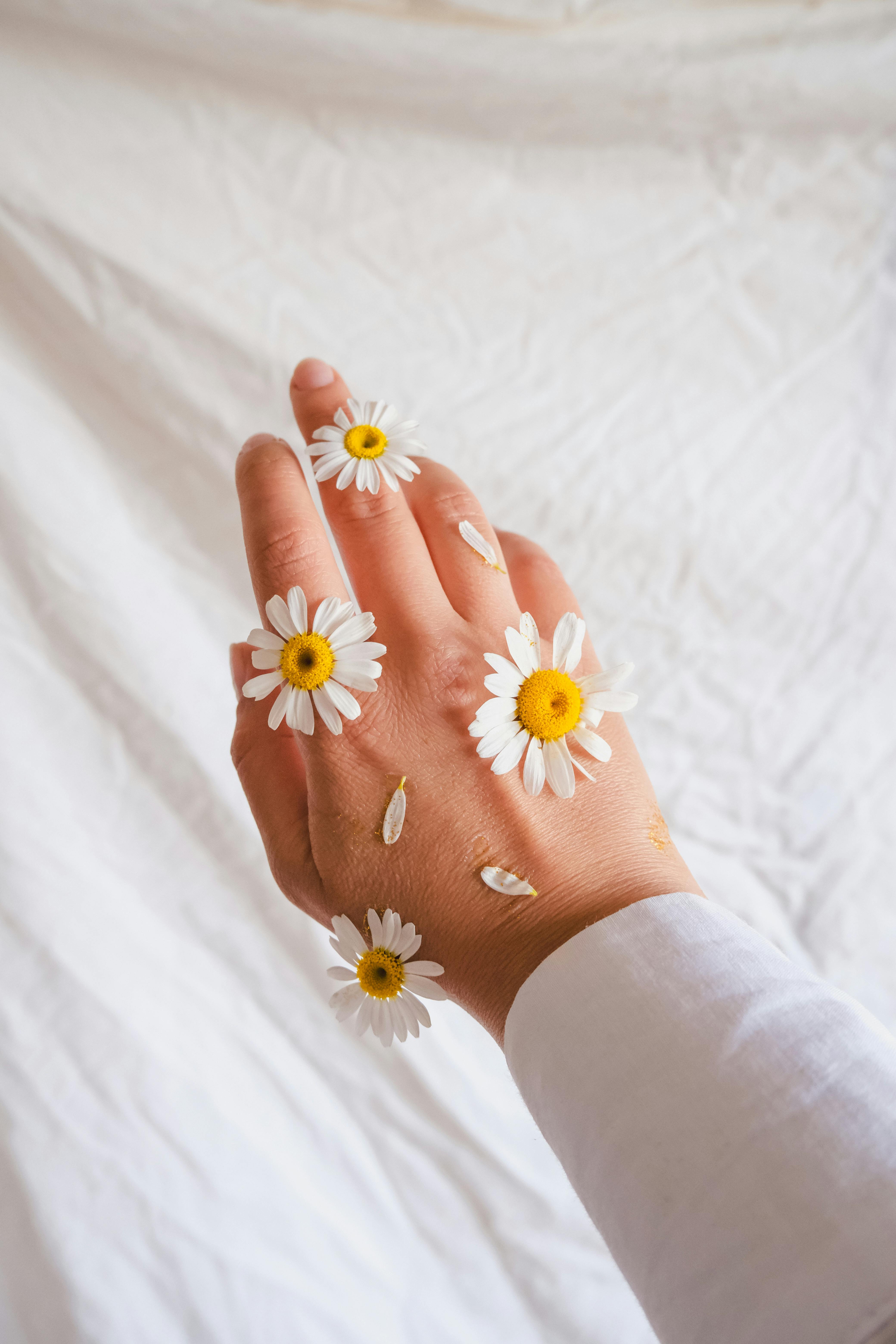 Close-up of a woman's hand decorated with daisies on a soft white fabric background, capturing elegance and simplicity.