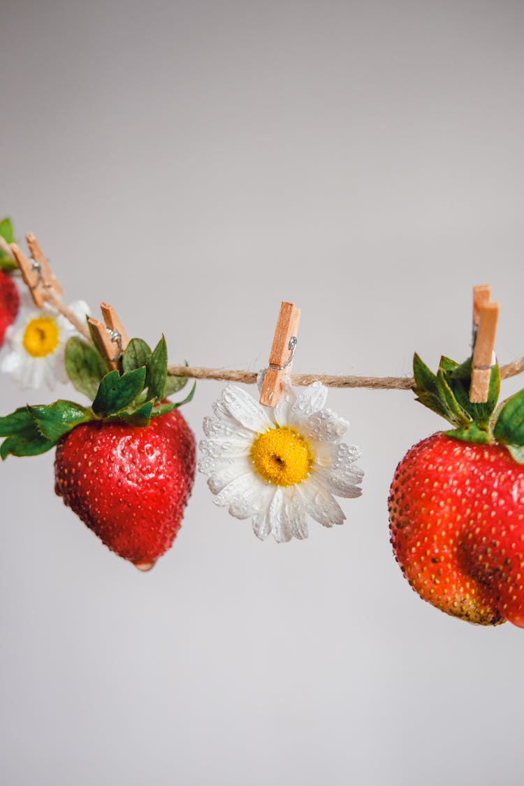 Flowers And Strawberries Hanging On String