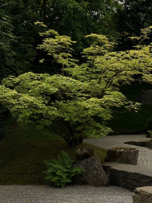 Free Serene garden scene with lush foliage and large rocks on a gravel path, perfect for relaxation imagery. Stock Photo