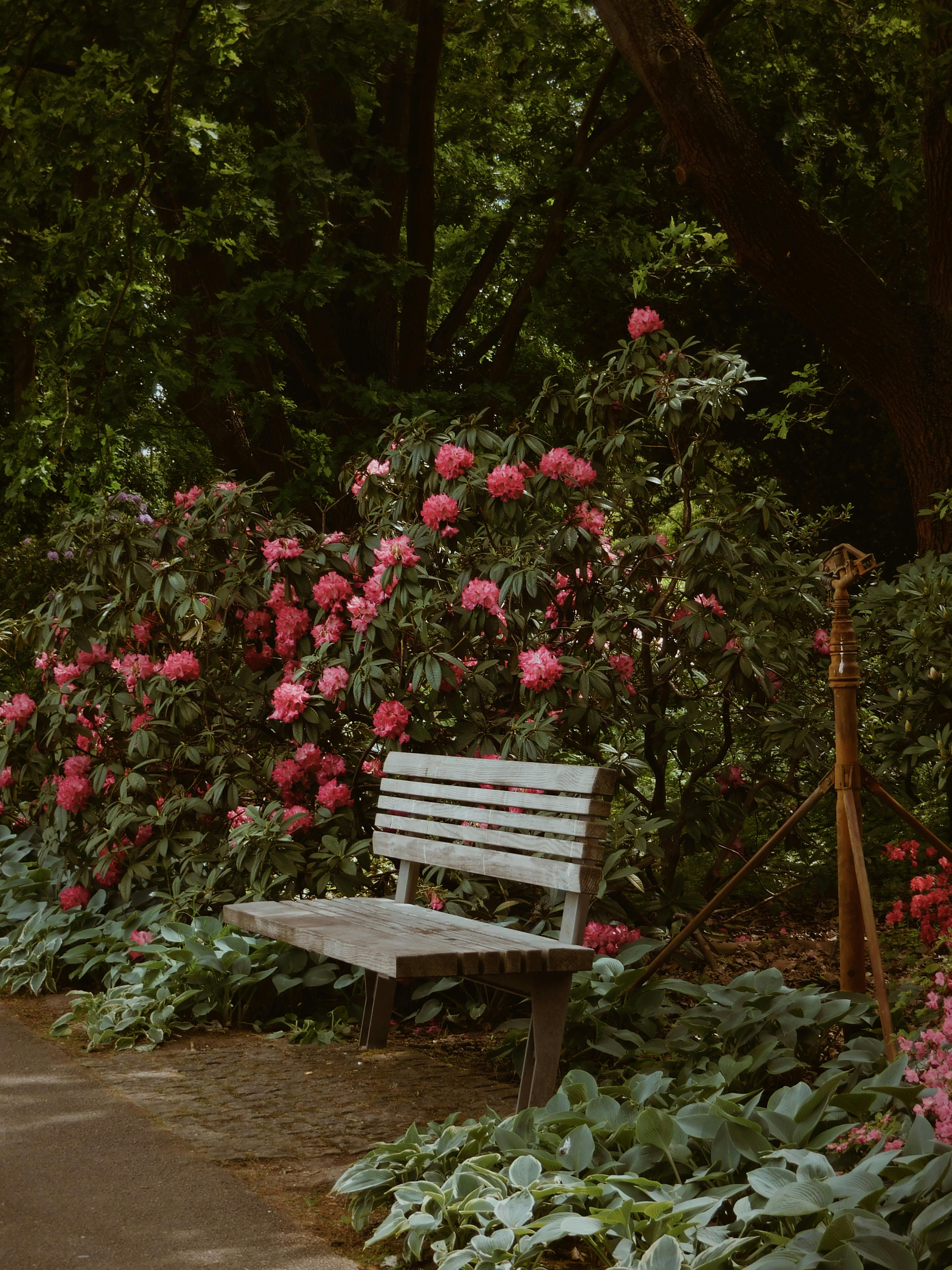 A serene wooden bench surrounded by vibrant blooming flowers in a lush garden setting.