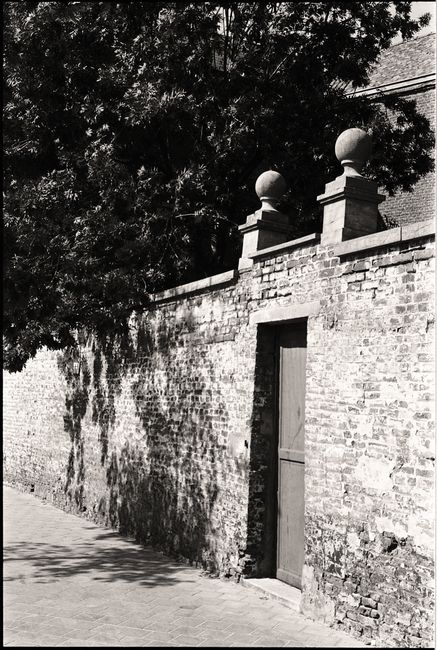 Monochrome photo of a vintage brick wall with an entrance, shadowed by a tree.