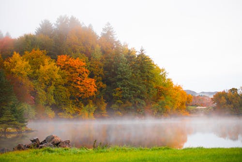 Free stock photo of fog, foggy morning, mist