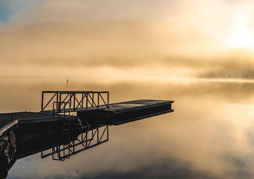 Free stock photo of clear water, fog, foggy