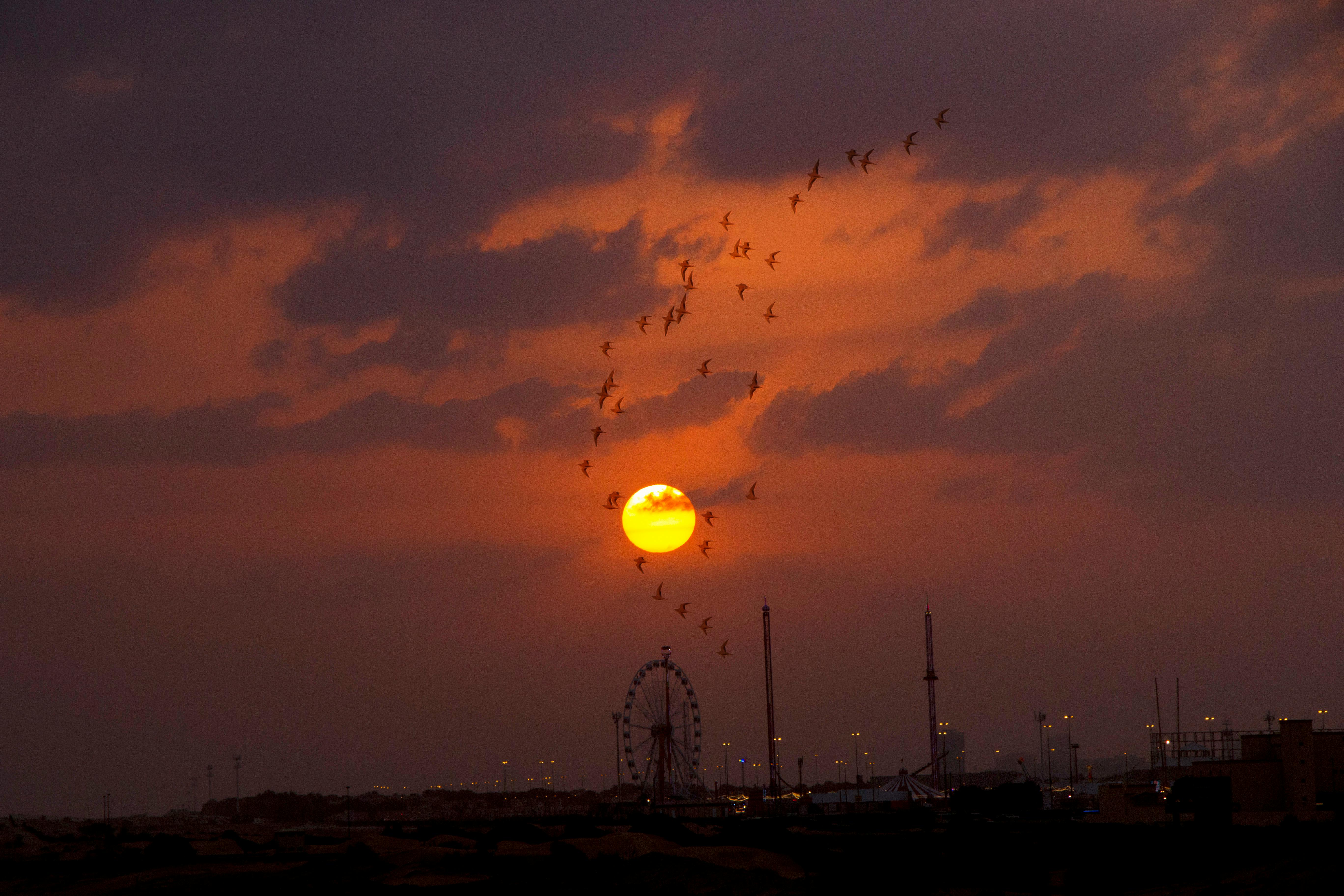 Kostenloses Foto Zum Thema Dubai Goldene Sonne Sonnenuntergang