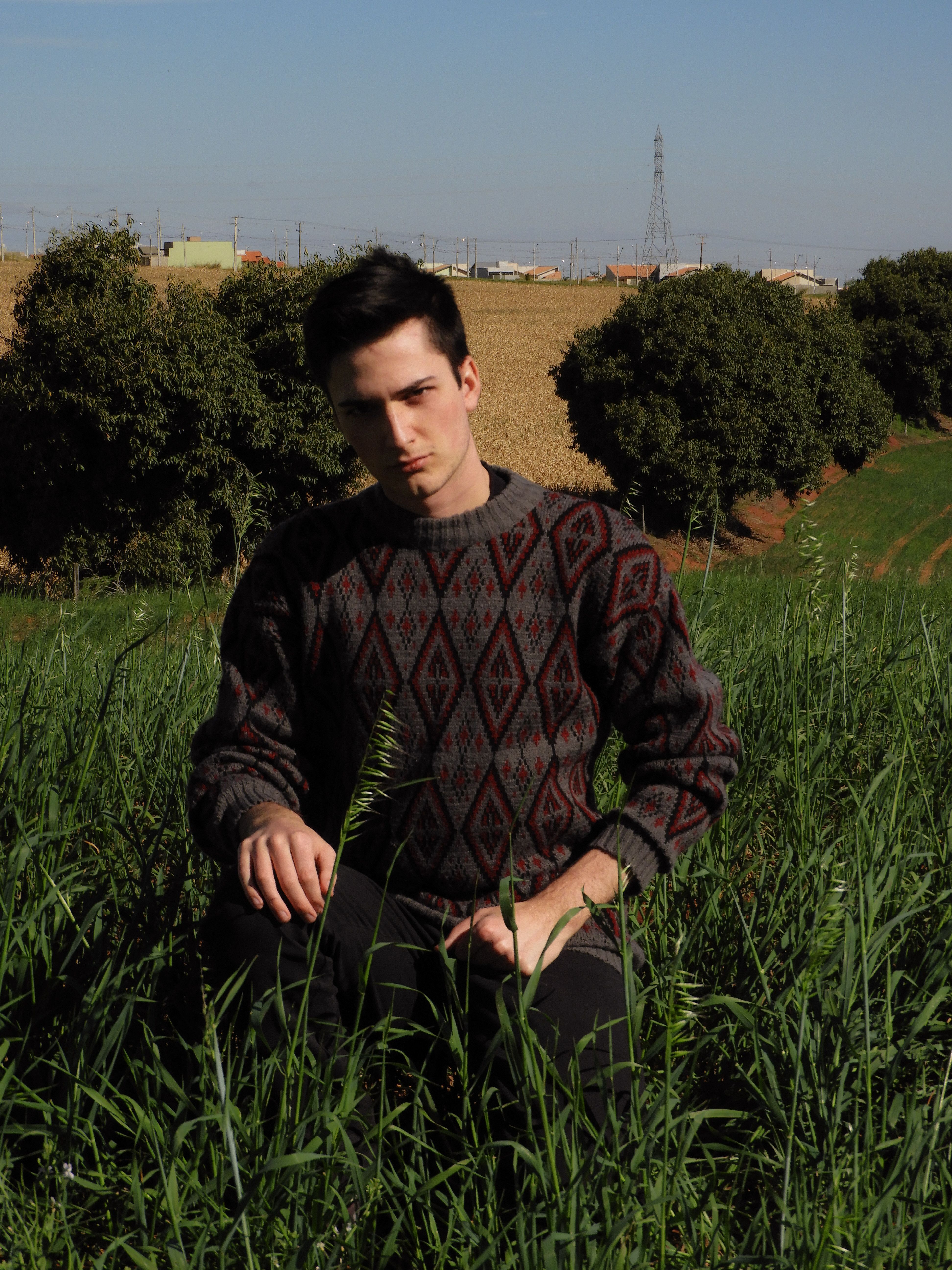 A young man in a sweater poses thoughtfully in a lush countryside field under a clear sky.