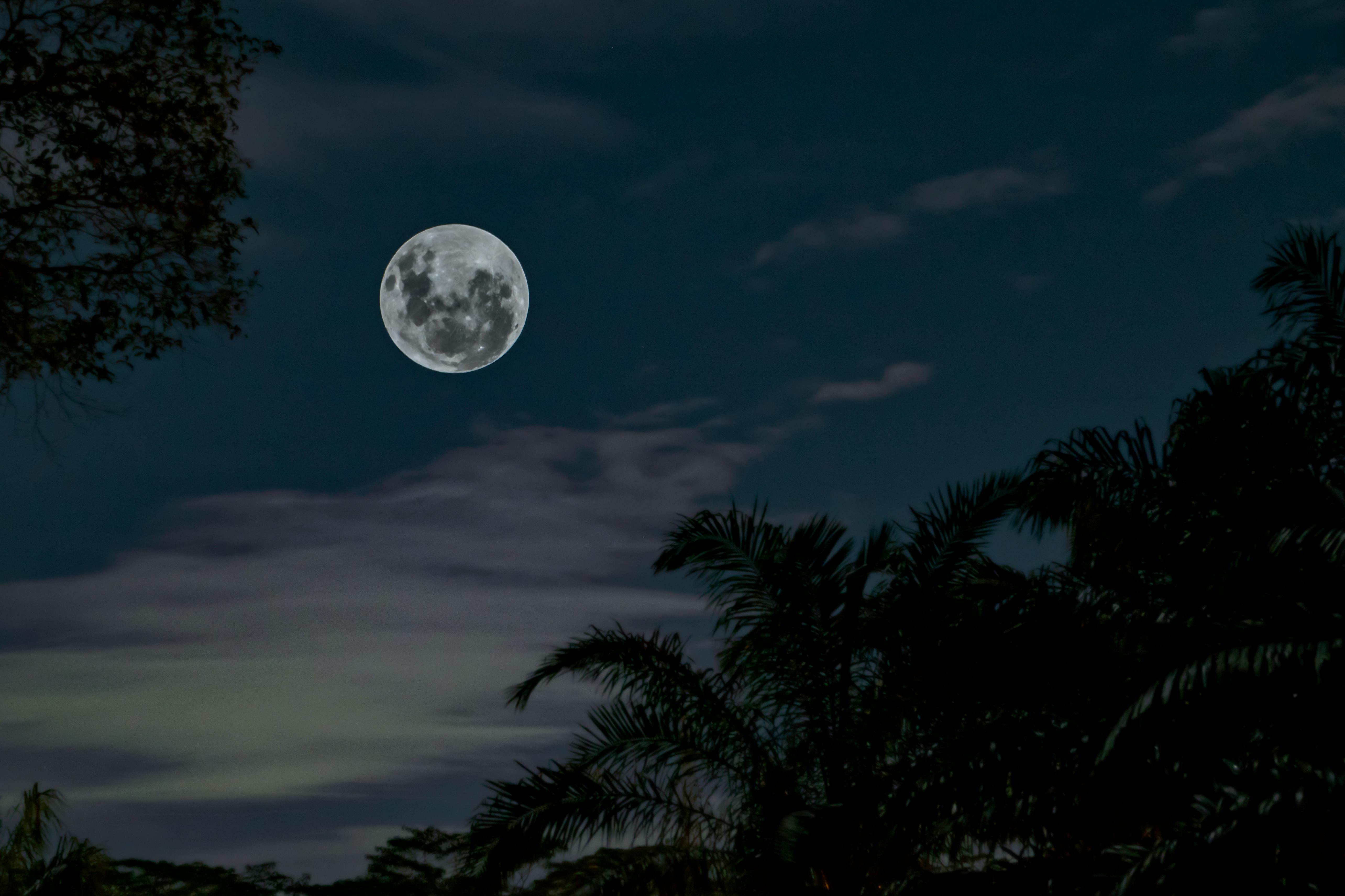 Moonlight Photos, Download The BEST Free Moonlight Stock Photos & HD Images