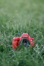 Red Canon Camera on Grass