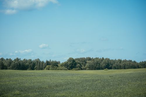 Free A tranquil countryside scene featuring lush grasslands and a dense forest under a clear blue sky. Stock Photo