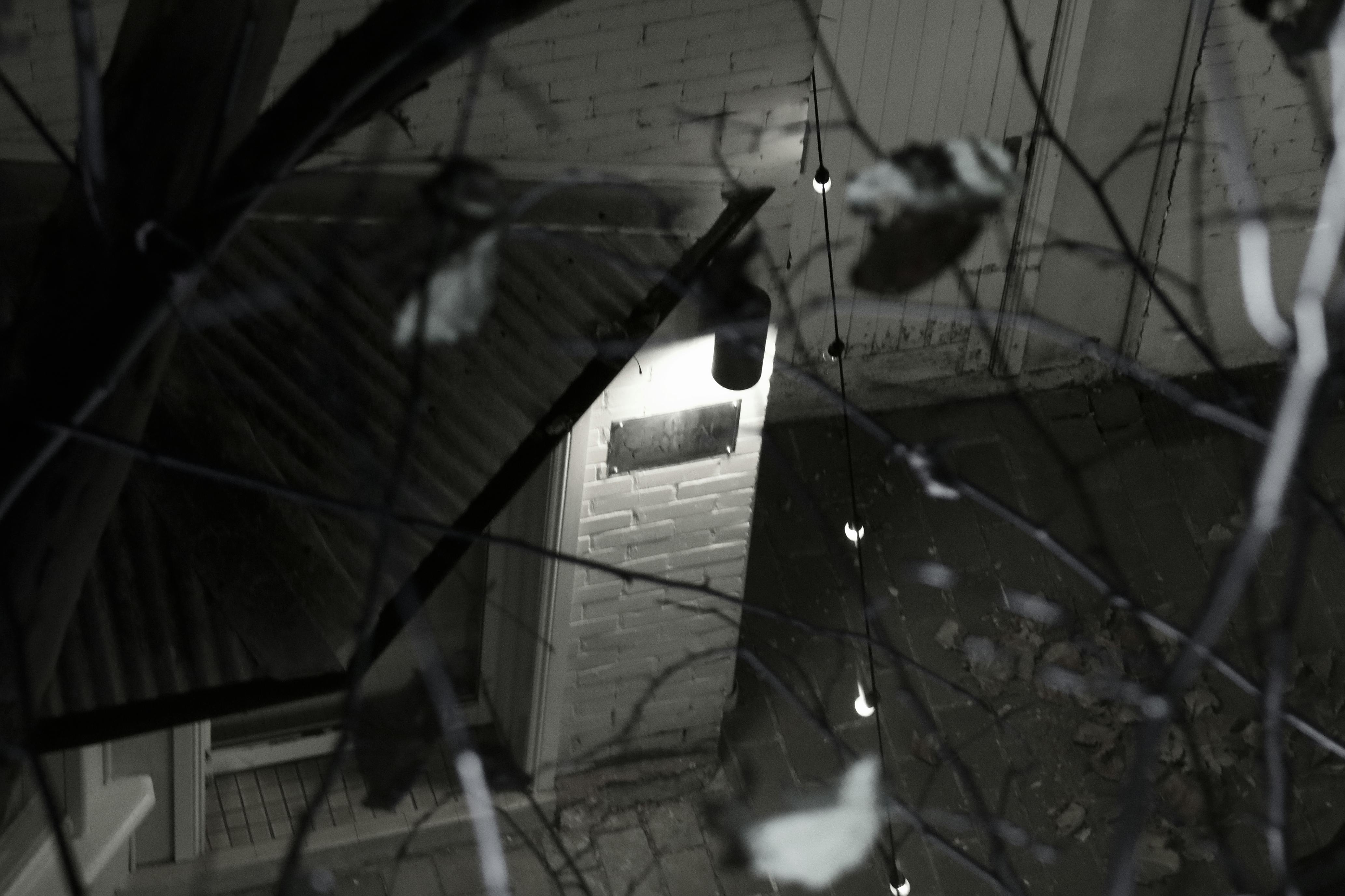 James Ranieri 사진