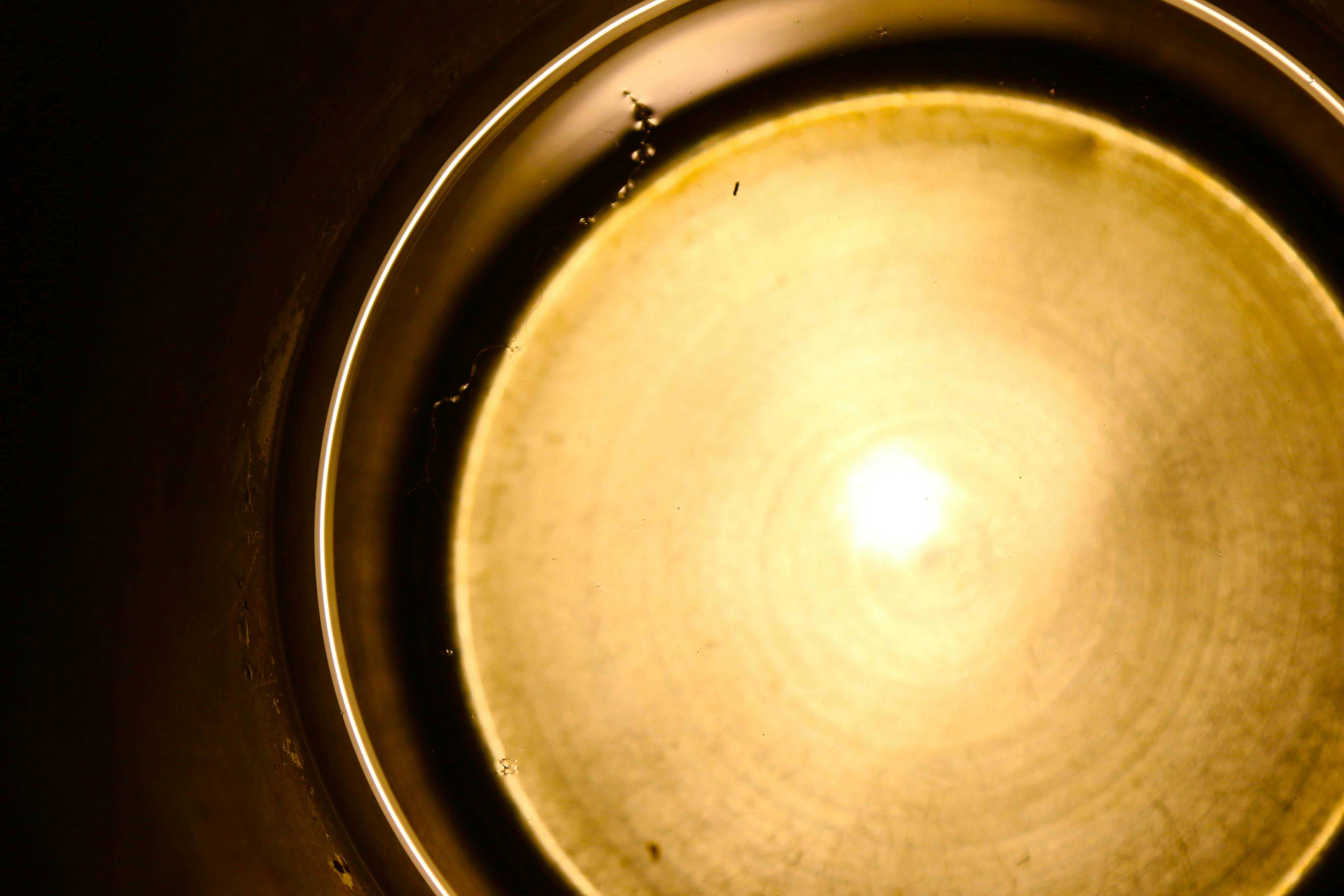 James Ranieri - Photography