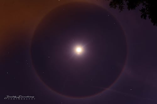 Free stock photo of full moon, halo
