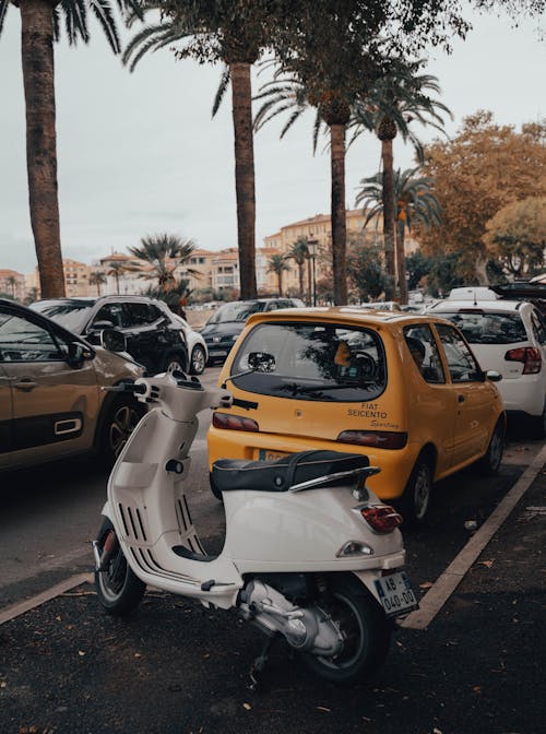 Motor Scooters and Cars Parked in the City under Palm Trees 