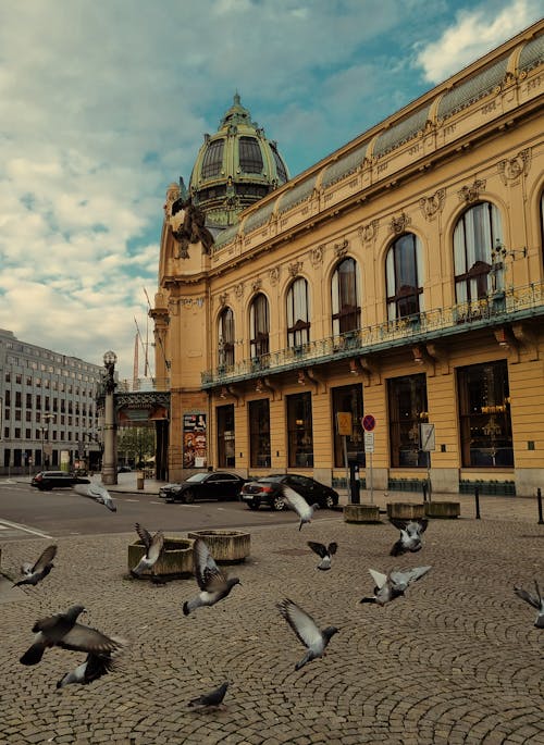 Základová fotografie zdarma na téma aan lichtbak toevoegen, budova, Česká republika