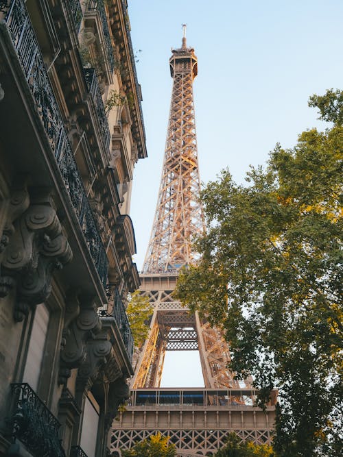 View of Eiffel Tower from city street