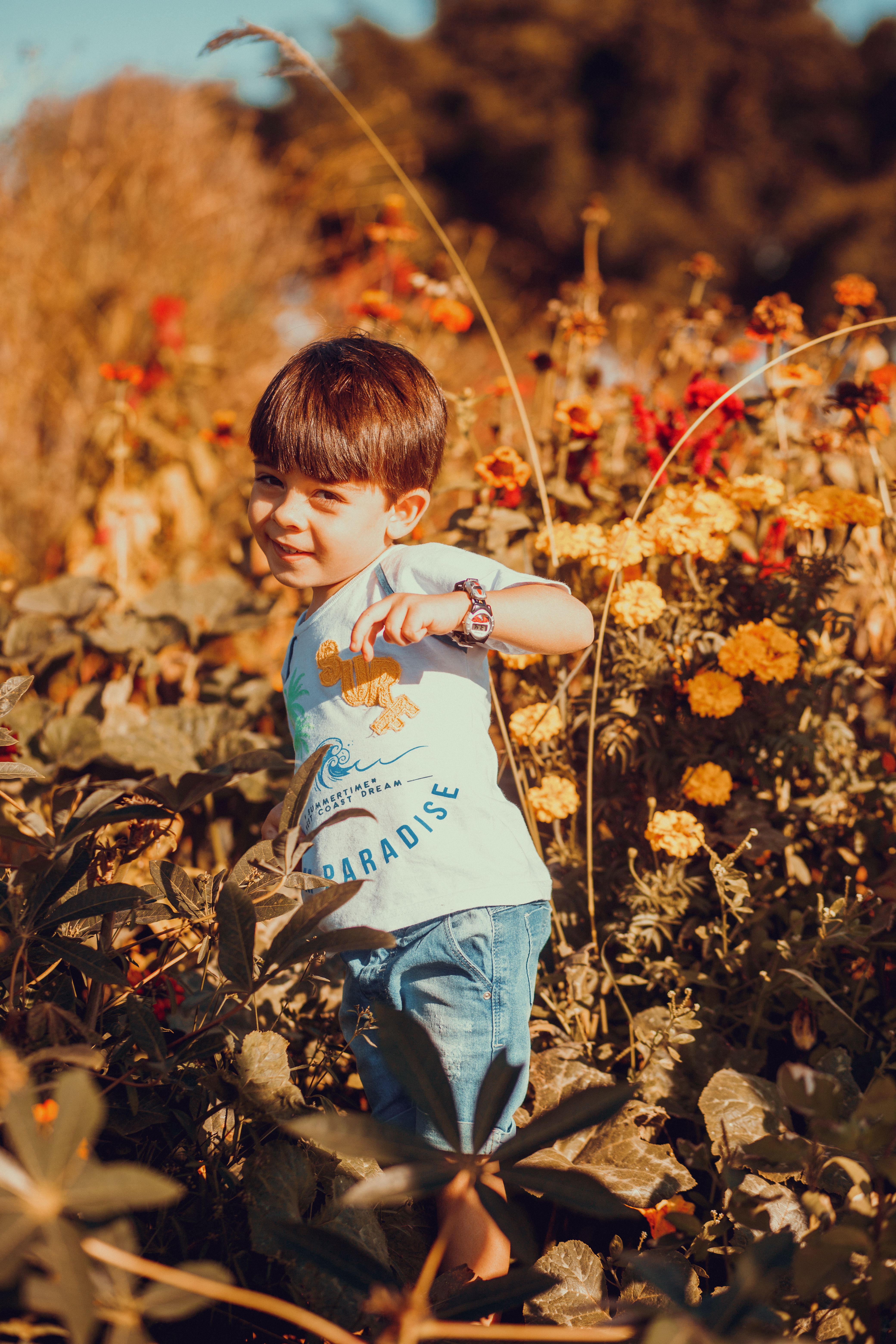 Portrait of a Little Boy Standing amid Blooming Flowers · Free Stock Photo