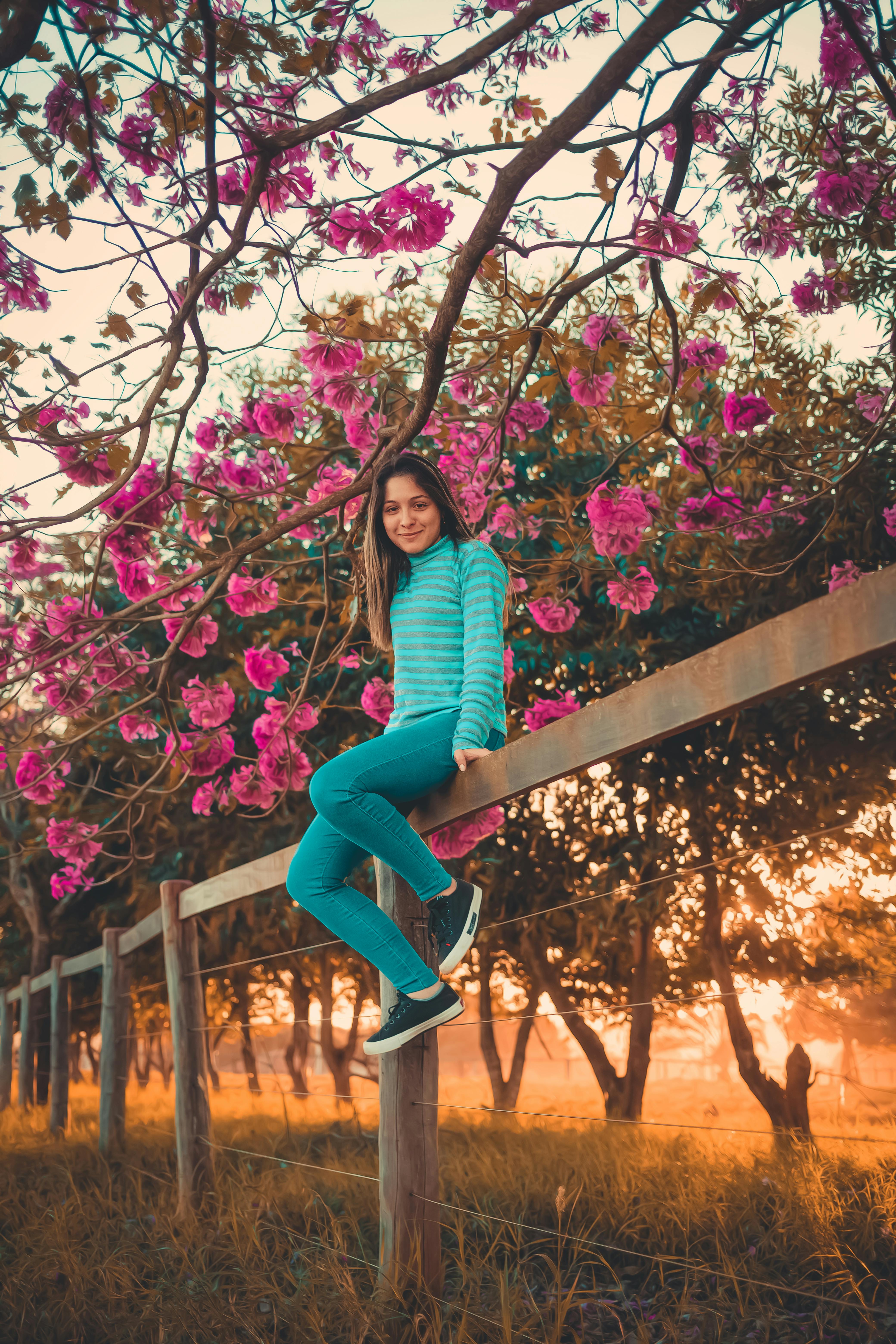 Free A young woman in casual clothing enjoys a sunset under blooming pink flowers. Stock Photo
