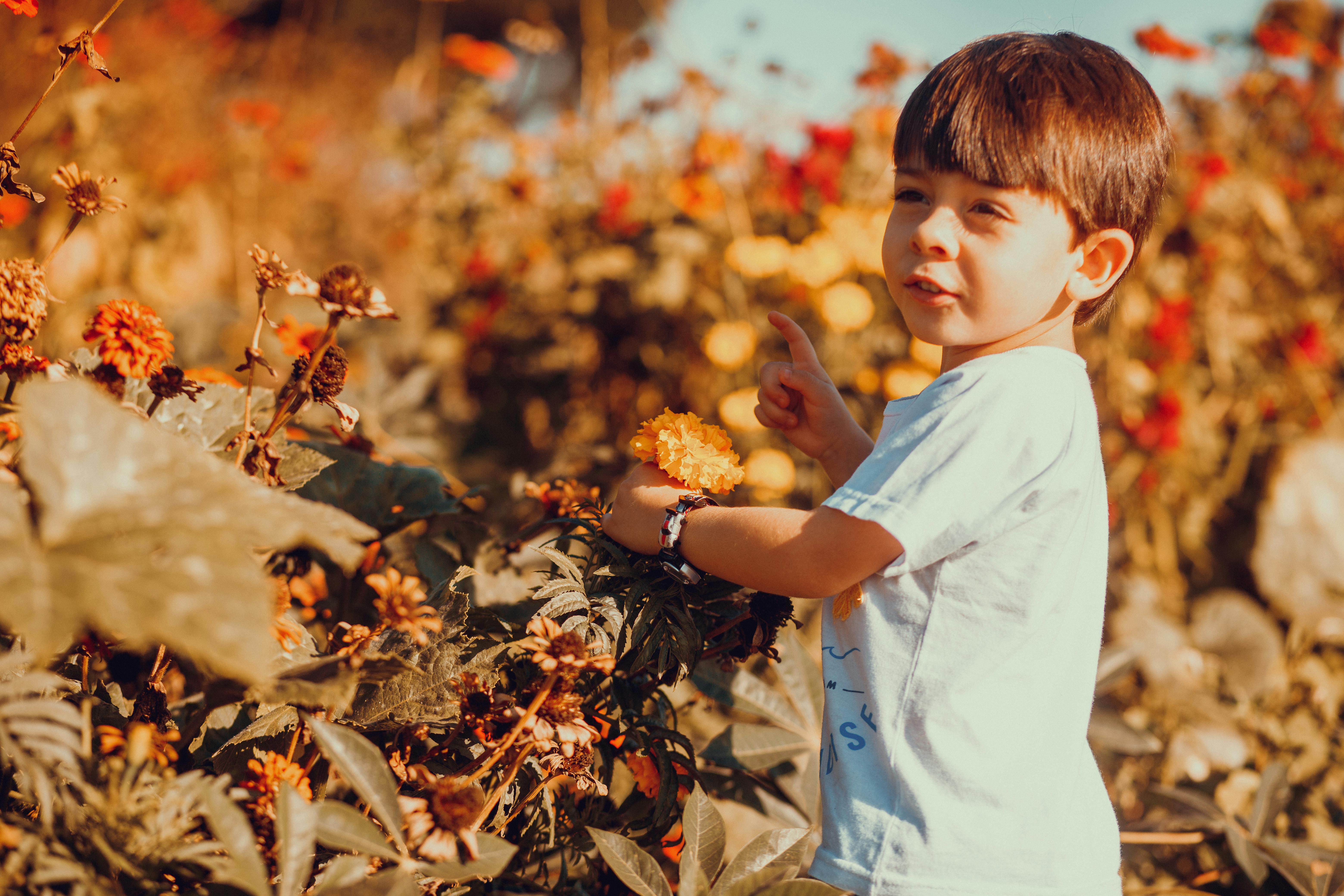 children's autumn clothes for a boy on a white background