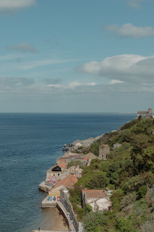 Foto d'estoc gratuïta de arbres, Costa, edificis